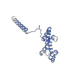 26968_8csr_L_v1-2
Human mitochondrial small subunit assembly intermediate (State C)