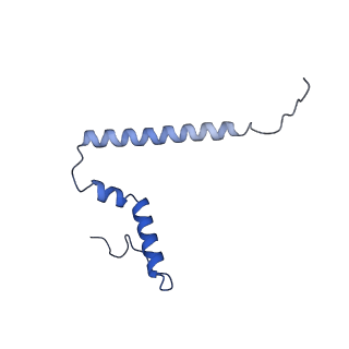 26968_8csr_Q_v1-2
Human mitochondrial small subunit assembly intermediate (State C)