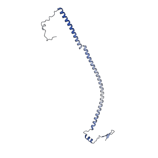 26968_8csr_U_v1-2
Human mitochondrial small subunit assembly intermediate (State C)