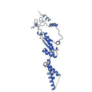 26970_8cst_1_v1-2
Human mitochondrial small subunit assembly intermediate (State E)