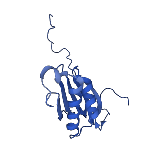 26970_8cst_I_v1-2
Human mitochondrial small subunit assembly intermediate (State E)