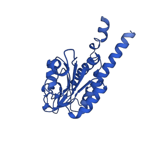 26971_8csu_B_v1-2
Human mitochondrial small subunit assembly intermediate (State C*)