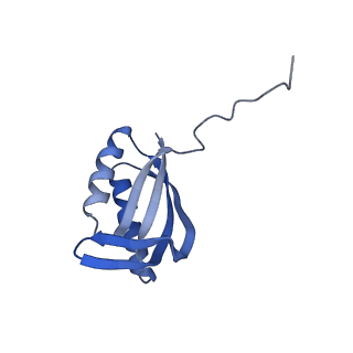 26971_8csu_E_v1-2
Human mitochondrial small subunit assembly intermediate (State C*)