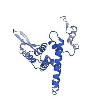 26971_8csu_F_v1-2
Human mitochondrial small subunit assembly intermediate (State C*)