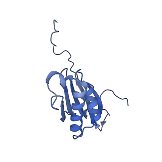 26971_8csu_I_v1-2
Human mitochondrial small subunit assembly intermediate (State C*)
