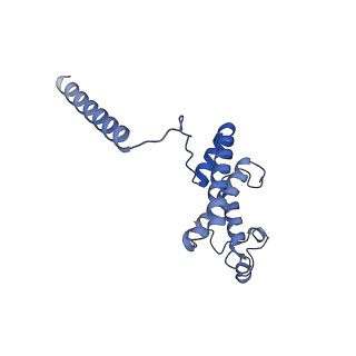 26971_8csu_L_v1-2
Human mitochondrial small subunit assembly intermediate (State C*)