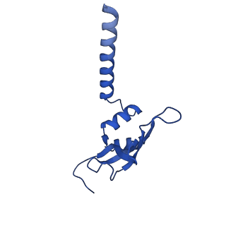 26971_8csu_M_v1-2
Human mitochondrial small subunit assembly intermediate (State C*)
