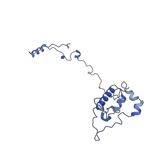 26971_8csu_O_v1-2
Human mitochondrial small subunit assembly intermediate (State C*)