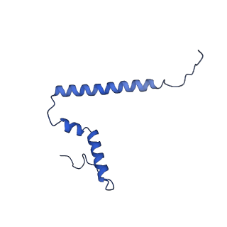 26971_8csu_Q_v1-2
Human mitochondrial small subunit assembly intermediate (State C*)