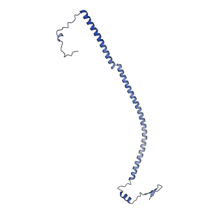 26971_8csu_U_v1-2
Human mitochondrial small subunit assembly intermediate (State C*)