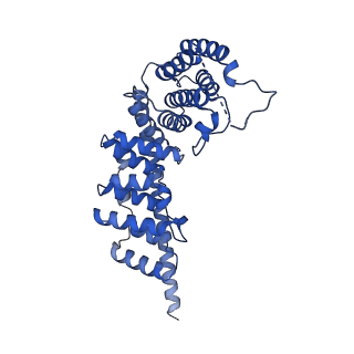 26971_8csu_V_v1-2
Human mitochondrial small subunit assembly intermediate (State C*)