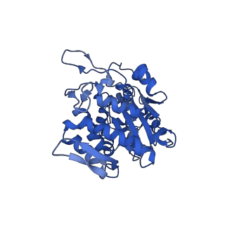 26971_8csu_X_v1-2
Human mitochondrial small subunit assembly intermediate (State C*)