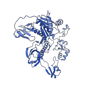 26976_8csz_D_v1-2
IscB and wRNA bound to Target DNA