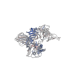 7578_6cs0_A_v1-4
SARS Spike Glycoprotein, Trypsin-cleaved, Stabilized variant, one S1 CTD in an upwards conformation