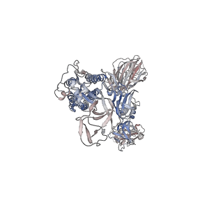 7578_6cs0_B_v1-4
SARS Spike Glycoprotein, Trypsin-cleaved, Stabilized variant, one S1 CTD in an upwards conformation