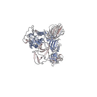 7578_6cs0_B_v2-0
SARS Spike Glycoprotein, Trypsin-cleaved, Stabilized variant, one S1 CTD in an upwards conformation