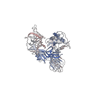7578_6cs0_C_v1-4
SARS Spike Glycoprotein, Trypsin-cleaved, Stabilized variant, one S1 CTD in an upwards conformation