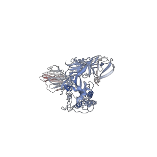 7582_6cs2_A_v1-4
SARS Spike Glycoprotein - human ACE2 complex, Stabilized variant, all ACE2-bound particles