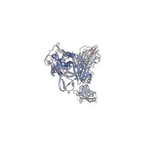 7582_6cs2_B_v1-4
SARS Spike Glycoprotein - human ACE2 complex, Stabilized variant, all ACE2-bound particles