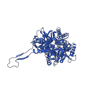 7609_6csx_A_v1-2
Single particles Cryo-EM structure of AcrB D407A associated with lipid bilayer at 3.0 Angstrom