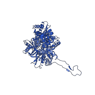 7609_6csx_B_v1-2
Single particles Cryo-EM structure of AcrB D407A associated with lipid bilayer at 3.0 Angstrom