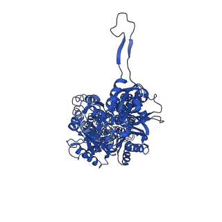 7609_6csx_C_v1-2
Single particles Cryo-EM structure of AcrB D407A associated with lipid bilayer at 3.0 Angstrom