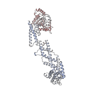 26977_8ct1_B_v1-2
CryoEM structure of human S-OPA1 assembled on lipid membrane in membrane-adjacent state