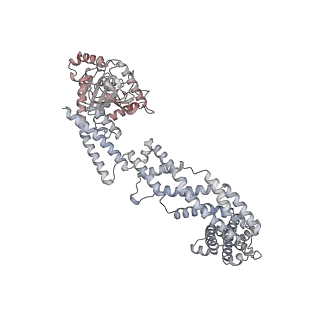26977_8ct1_C_v1-2
CryoEM structure of human S-OPA1 assembled on lipid membrane in membrane-adjacent state