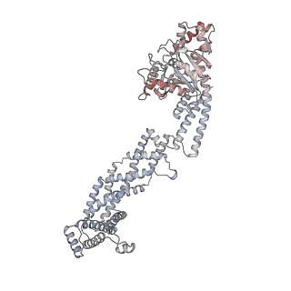 26977_8ct1_D_v1-2
CryoEM structure of human S-OPA1 assembled on lipid membrane in membrane-adjacent state