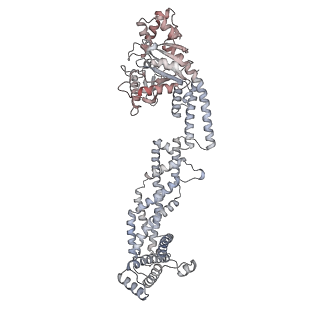 26977_8ct1_E_v1-2
CryoEM structure of human S-OPA1 assembled on lipid membrane in membrane-adjacent state
