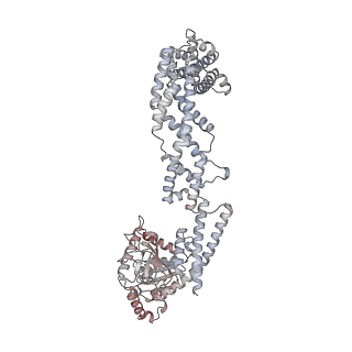 26977_8ct1_H_v1-2
CryoEM structure of human S-OPA1 assembled on lipid membrane in membrane-adjacent state