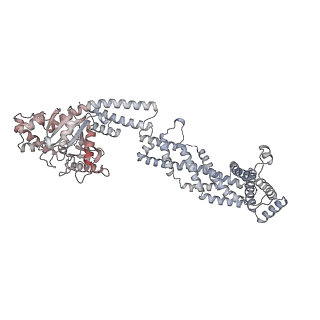 26977_8ct1_I_v1-2
CryoEM structure of human S-OPA1 assembled on lipid membrane in membrane-adjacent state