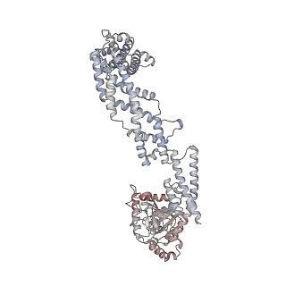 26977_8ct1_J_v1-2
CryoEM structure of human S-OPA1 assembled on lipid membrane in membrane-adjacent state