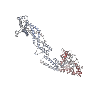 26977_8ct1_O_v1-2
CryoEM structure of human S-OPA1 assembled on lipid membrane in membrane-adjacent state