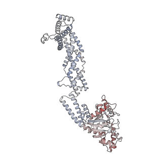 26977_8ct1_Q_v1-2
CryoEM structure of human S-OPA1 assembled on lipid membrane in membrane-adjacent state