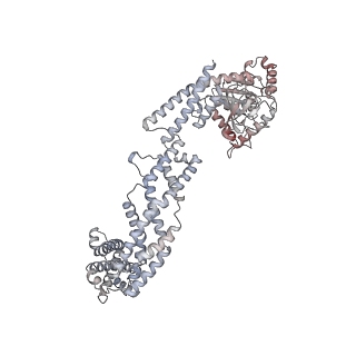 26977_8ct1_R_v1-2
CryoEM structure of human S-OPA1 assembled on lipid membrane in membrane-adjacent state