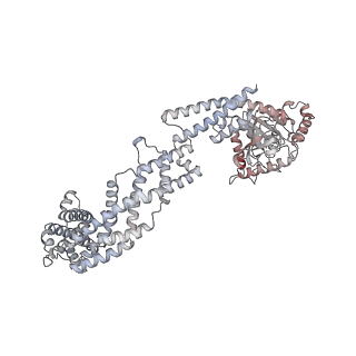 26977_8ct1_T_v1-2
CryoEM structure of human S-OPA1 assembled on lipid membrane in membrane-adjacent state