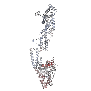 26977_8ct1_U_v1-2
CryoEM structure of human S-OPA1 assembled on lipid membrane in membrane-adjacent state