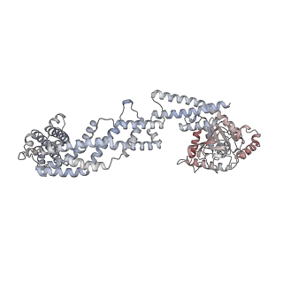 26977_8ct1_V_v1-2
CryoEM structure of human S-OPA1 assembled on lipid membrane in membrane-adjacent state