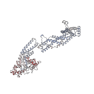 26977_8ct1_X_v1-2
CryoEM structure of human S-OPA1 assembled on lipid membrane in membrane-adjacent state