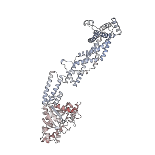 26977_8ct1_Y_v1-2
CryoEM structure of human S-OPA1 assembled on lipid membrane in membrane-adjacent state