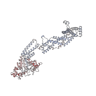 26977_8ct1_Z_v1-2
CryoEM structure of human S-OPA1 assembled on lipid membrane in membrane-adjacent state