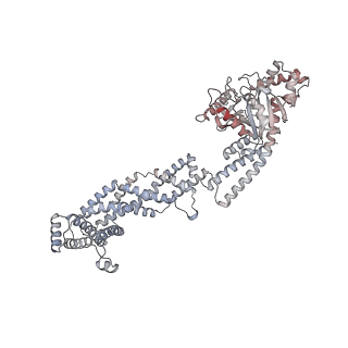 26977_8ct1_a_v1-2
CryoEM structure of human S-OPA1 assembled on lipid membrane in membrane-adjacent state