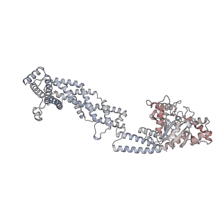 26977_8ct1_b_v1-2
CryoEM structure of human S-OPA1 assembled on lipid membrane in membrane-adjacent state