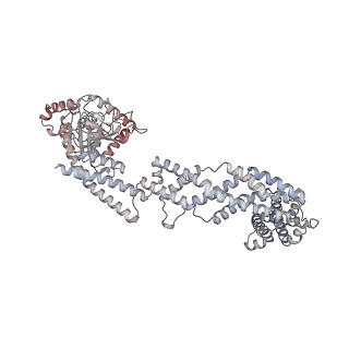 26977_8ct1_c_v1-2
CryoEM structure of human S-OPA1 assembled on lipid membrane in membrane-adjacent state