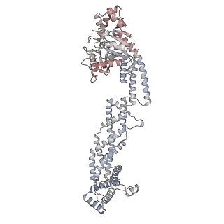 26977_8ct1_e_v1-2
CryoEM structure of human S-OPA1 assembled on lipid membrane in membrane-adjacent state
