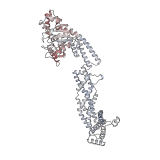26977_8ct1_f_v1-2
CryoEM structure of human S-OPA1 assembled on lipid membrane in membrane-adjacent state