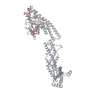26977_8ct1_g_v1-2
CryoEM structure of human S-OPA1 assembled on lipid membrane in membrane-adjacent state