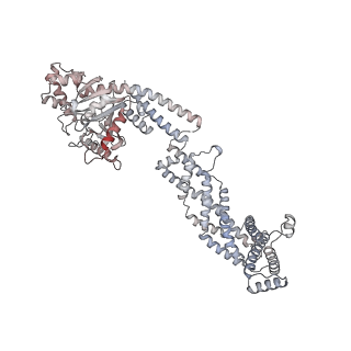 26977_8ct1_h_v1-2
CryoEM structure of human S-OPA1 assembled on lipid membrane in membrane-adjacent state