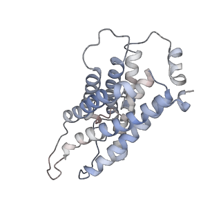 26978_8ct2_A_v1-1
Local refinement of AQP1 tetramer (C1; refinement mask included D1 of protein 4.2 and Ankyrin-1 AR1-5) in Class 2 of erythrocyte ankyrin-1 complex